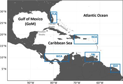 Dispersal of juvenile leatherback turtles from different Caribbean nesting beaches: A model study